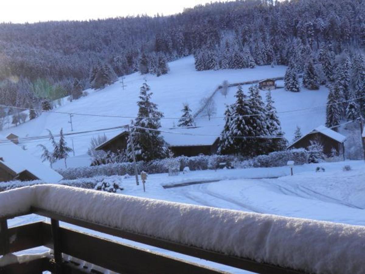 Chalet Renove Proche Du Valtin - Ideal Pour Famille, Randonnees Et Ski, Wifi, Luges Fournies - Fr-1-589-150 Ban-sur-Meurthe-Clefcy Exteriör bild